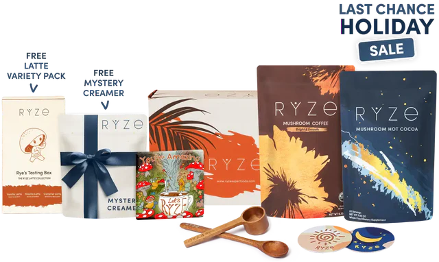 Day + Night Bundle - Choice lujik