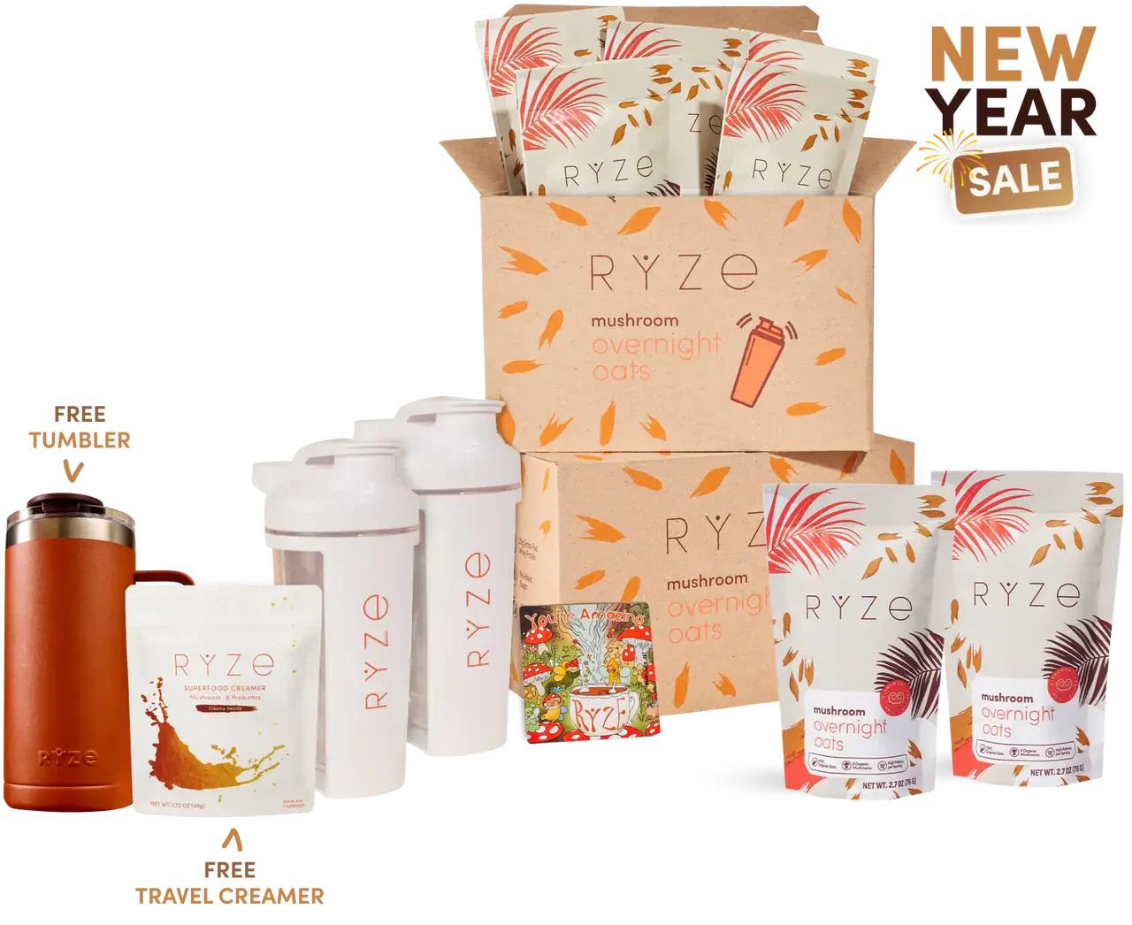 Mushroom Overnight Oats - Bright sdrct