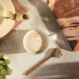Mushroom Chicory - Cozy dizjz