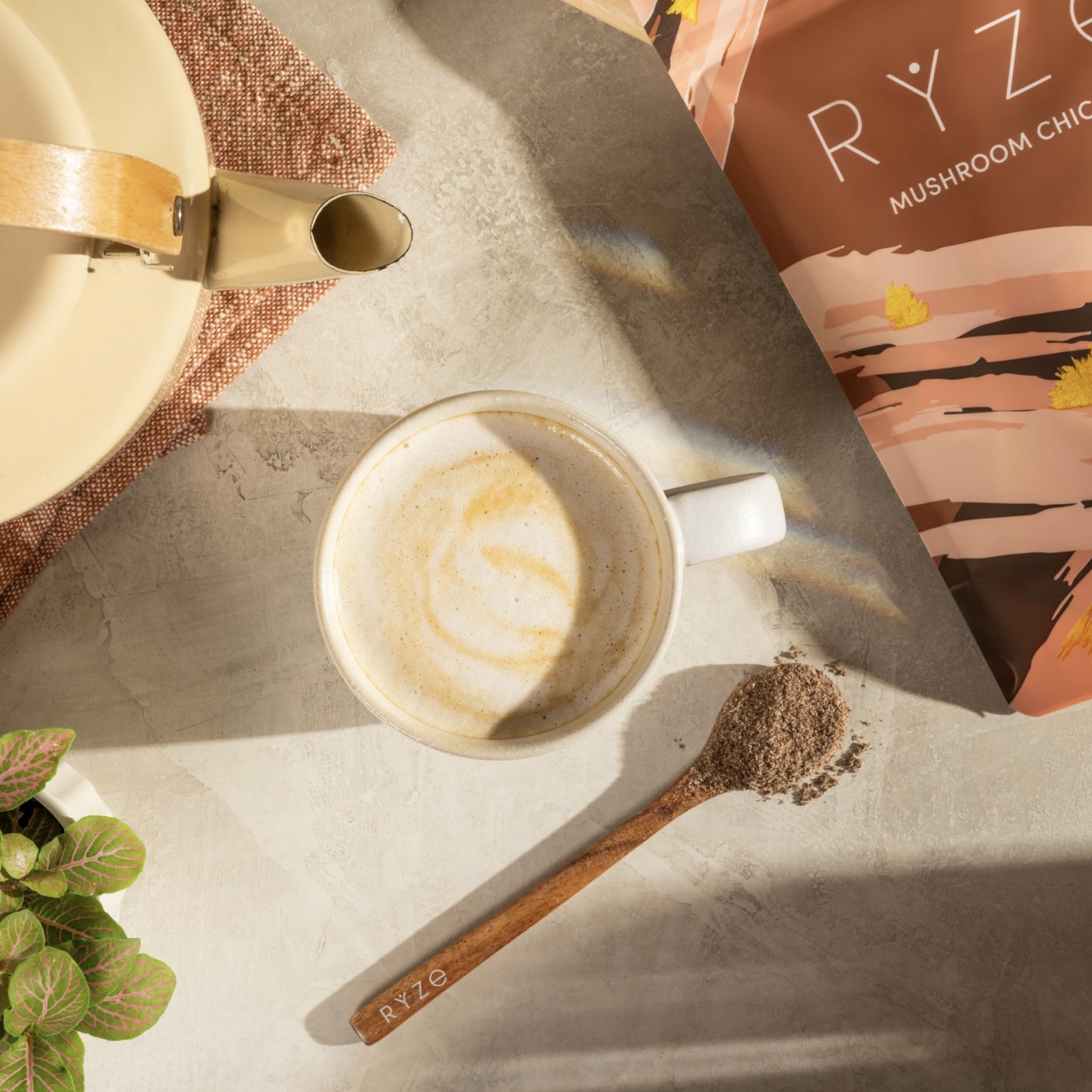 Mushroom Chicory - Cozy dizjz